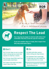 High resolution official theatrical movie poster (#1 of 2) for respect (2021). Respect The Lead Dog Walking Lead Awareness Campaign