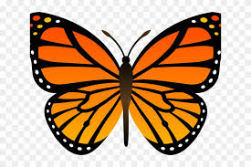 725 x 812 size : Butterfly Cliparts Transparent Happy Butterfly Clipart Hd Png Download 640x480 2098530 Pngfind