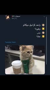 وش ذي اللطافهههه Funny Arabic Quotes Arabic Memes Arabic Jokes