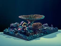3 D Mapping The World S Corals To Track Their Health Coral Reef Save Our Oceans Deep Sea 3d