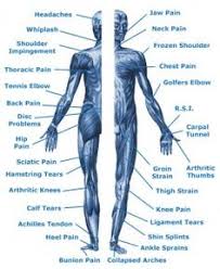 Massage therapy for the scalene muscles. Zb 2386 Back Massage Diagram Free Diagram
