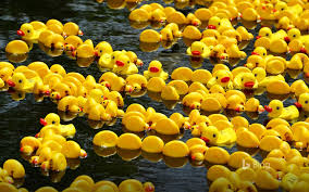 All the images on our site are hd quality and the best choice for background images for both desktop and smartphones. Duck Rubber Wallpapers Wallpaper Cave