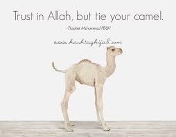 Otherwise, i'm going to end up lost in the wilderness one more time. Pin On Islam