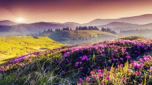 76 top scenery backgrounds , carefully selected images for you that start with s letter. Nature Spring Hills Flowers Trees Sun Wallpaper Nature And Landscape Wallpaper Better
