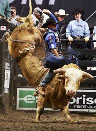 You can also upload and share your favorite pbr wallpapers. Free Download Pbr Wallpaper Gallery For Pbr 437x594 For Your Desktop Mobile Tablet Explore 48 Pbr Beer Wallpaper Pbr Bull Riding Wallpaper Free Pbr Wallpaper Pbr Wallpaper Border