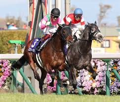 The site owner hides the web page description. é«˜æ¾å®®è¨˜å¿µ ç¦æ°¸ç¥ä¸€ ã‚­ãƒ³ã‚°ãƒ˜ã‚¤ãƒ­ãƒ¼ã«æ§ãg1åˆ¶è¦‡ å¾ŒæŠ¼ã—ã—ã¦ãã‚ŒãŸ ã‚¹ãƒãƒ‹ãƒ Sponichi Annex ã‚®ãƒ£ãƒ³ãƒ–ãƒ«