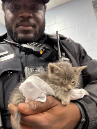 While working off-duty, Ptl. Dontavis Jones made an unexpected discovery in  a dumpster: a four-week-old kitten, all alone. Demonstrating compassion,  Officer Jones brought the tiny feline to the Charleston Animal Society for