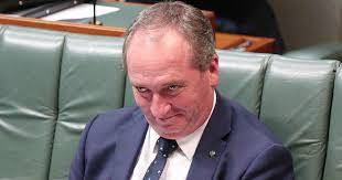 Barnaby Joyce abortion NSW comments have been met with criticism.