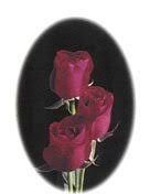 Memories of Norma Walsh