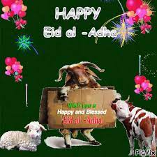 Every muslim want's to memorable this day. Pin On Eid Ul Adha Mubarak