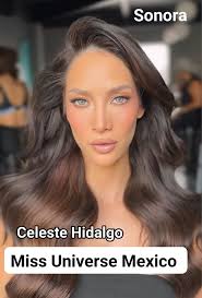 Miss Universe Chile 2024