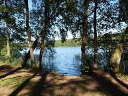 Das haus am see mit steg und boot (mecklenburgische seenplatte) in blankensee bietet unterkünfte mit einer terrasse. Ferienhaus Direkt Am See Kleine Badestelle Vor Dem Haus Ferienhaus Am See Ferienhaus Am See Deutschland Traumhafte Strandhauser
