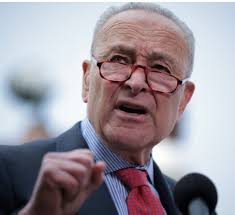 Sen Schumer was against fraud & illegal immigration in 1996 so who or what  changed his stance since then?