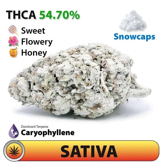 Candyland Snow Caps 54.7% THCA Flower | Delta 8 THC Austin