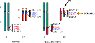 0800 22 227 toll free national network; Bcr Abl1 Springerlink