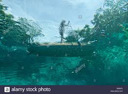 We cannot see light, light allows us to see. Underwater Image With The Photographer Looking Up At The Stand Up Paddle Board On The Surface In Crystal Clear Underwater Images Concept Art Inspiration Photo