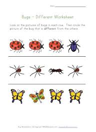 Bugs Worksheet Recognize Different Insects Bugs Preschool Kindergarten Worksheets Preschool Worksheets