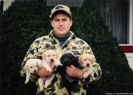 Maybe you would like to learn more about one of these? Akc Labrador Retrievors Price 500 600 For Sale In Waupaca Wisconsin Best Pets Online