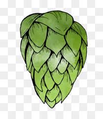 Tallo de la planta, lupulo, comida, hoja, rama png. El Lupulo Descarga Gratuita De Png El Lupulo De La Cerveza Comun Hop Dibujo Clip Art Saltos Imagen Png Imagen Transparente Descarga Gratuita