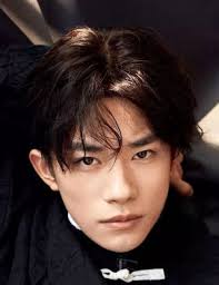 Andy Lau, Jackson Yee