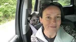 Such a pretty boy! 🦅😀 Sandy Point