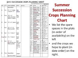 Succession Planting For Continuous Vegetable Harvests 2015