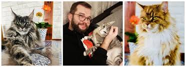 Ze severu má polsko přístup k baltskému. Poslowie I Ich Pupile