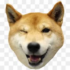 Bitcoin gold mining software blockchain offline best bitcoin wallet website bitcoin gold mining software trusted. Free Doge Head Png Png Transparent Images Pikpng