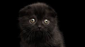 Now normally i have great friday the 13th days. Friday The 13th
