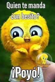 Si Estas Buscando Frases De Buenos Dias Ya No Tienes Que In 2021 Funny Spanish Memes Good Morning Greetings Cat Videos For Kids