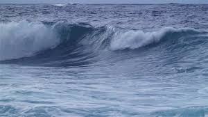 Cukup sampai disini informasi mengenai gambar hewan laut animasi yang dapat anda simak di kesempatan ini. 2 000 Video Klip Hd 4k Pantai Laut Gratis Pixabay