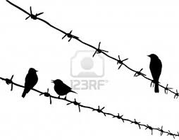 Birds Sitting On A Wire Painting Bird Barbed Wire Silhouette Tattoo I Would Like To Have This Tattoo But Instead Of Birds To Have A Raven Sitting Bird Silhouette Flying Bird Silhouette Bird