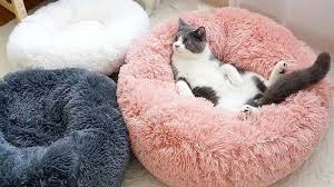 Designed with oversized, pillow bolsters that wrap around the sleep surface, this luxurious bed is perfect for dogs and cats who crave coziness. Cute Dog Beds Home Facebook