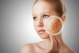 Cara melembabkan kulit wajah kering, kamu bisa memilih produk pelembab dengan jenis krim atau lotion. Cara Mengatasi Kulit Wajah Kering Dan Berkeriput Simomot