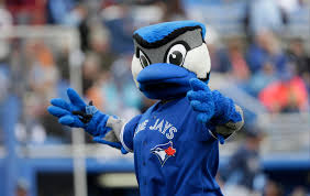 Toronto - Today is for you, ACE! Happy #NationalBirdDay to everyone's favourite mascot. 😍 | Facebook