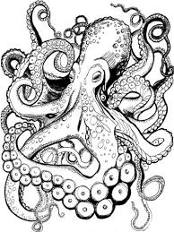 Choose any of 4 images and try to draw it. Kraken Tee Octopus Drawing Octopus Tattoo Design Art