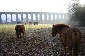 Digswell Viaduct Welwyn Garden City Welwyn Garden City City