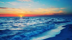 Each of our wallpapers can be downloaded to fit almost any device, no matter if you're running an android phone, iphone, tablet or pc. Free Hd Beach Wallpapers Wallpaper Cave