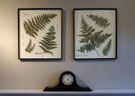 We did not find results for: 38 Creative Diy Wall Art Ideas To Decorate Your Space Fern Wall Art Framed Botanicals Creative Diy Wall Art