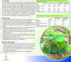 Image result for Cissampelos mucronata