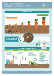 The soil is covered with an airtight plastic. Eip Agri Focus Group On Soil Borne Diseases Final Report Eip Agri