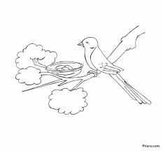 Bird's nest soup is one of the most famous but most controversial dishes in chinese cuisine. Birds Coloring Pages Pitara Kids Network