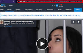 2025] How to Download Videos from TNAFlix for Free - GetAppSolution