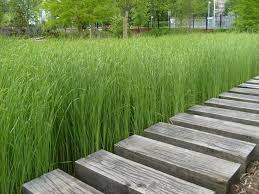 Le Jardin Des Geants Lille La Cuisine De Quat Sous Jardins Planter Des Arbres Idees Jardin