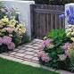 Hydrangeas and their Companion Plants Class!