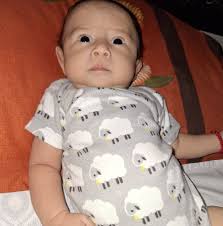 El whats app 9991298236 es por el monemto para solicitar las promos  publicadas con precios en fb y recoger en #canek sin colas!!! Si require  otras refacciones, los precios se le darán