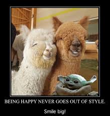 Pin By Stacey Herpel On Baby Yoda Yoda Funny Yoda Meme Happy Animals