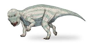 The skeleton of the single specimen was found on a cliff southwest of laiyang, shandong province. Udanoceratops Alchetron The Free Social Encyclopedia