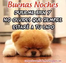 Imagen Buenas Noches Imagenes De Buenas Noches Buenas Noches Amor Mio Postales De Buenas Noches