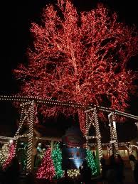5 Ways To Enjoy Dollywood At Christmas Dollywood Christmas Tennessee Christmas Gatlinburg Christmas